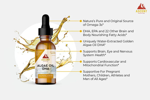 Algae Oil DHA 1000 Mg Liquid Supplement – Vegan Omega-3 Brain and Heart Support | Made in USA Ascent Nutrition  simple