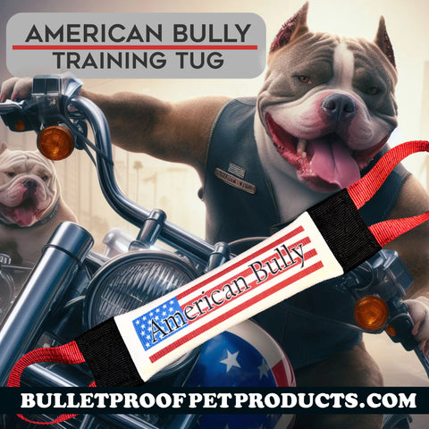 Two muscular American Bully dogs sit on motorcycles. In front, a Bulletproof Pet Products Inc American Bully Fire Hose Training Tug with an American flag is featured. Text reads: American Bully Fire Hose Training Tug and BULLETPROOFPETPRODUCTS.COM.