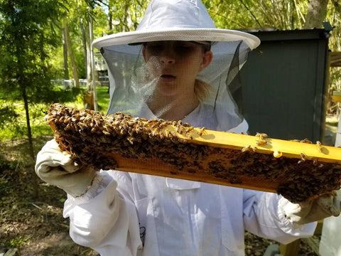 American-Made Raw Cinnamon Honey – All Natural Brooksville Florida Harvest | Artisan Local Honey Blend Made in USA Honey Badgers Bee Farm  Honey