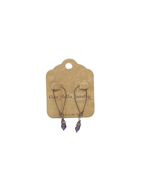 Amethyst Hook Earrings Michelle Marie Boutique  Earrings
