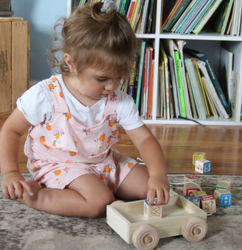 Amish Handmade Wooden Toddler Pull-String Wagon With 15 Alphabet Blocks – Durable Educational Toy | Made in USA Amish Toy Box  Wooden Toys