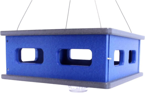 Amish-Made Bluebird Mealworm Feeder – Eco-Friendly Hanging Birdhouse | Made in USA Amish Toy Box  Lawn & Patio