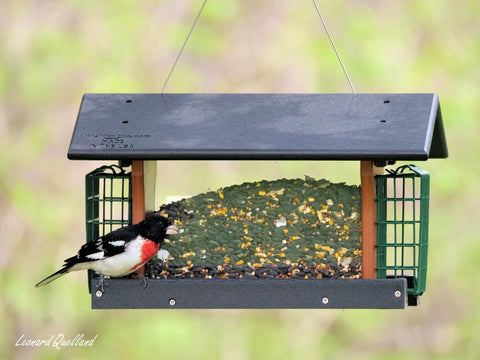 Amish-Made Durable Hanging Bird Feeder – Weather-Resistant Poly Lumber Suet Holder | Made in USA Amish Toy Box 