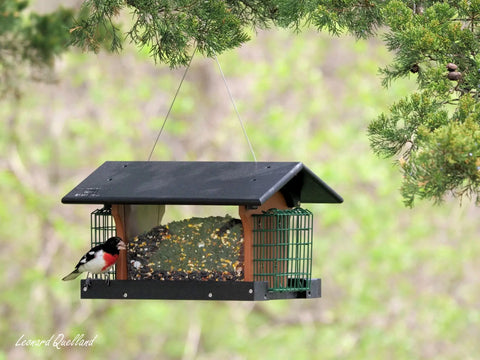 Amish-Made Durable Hanging Bird Feeder – Weather-Resistant Poly Lumber Suet Holder | Made in USA Amish Toy Box 