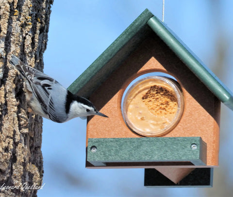 Amish-Made Peanut Butter Bird Feeder 8x7 Inch – Poly Lumber Durable Feeder for Woodpeckers | Made in USA Amish Toy Box  Bird Feeder