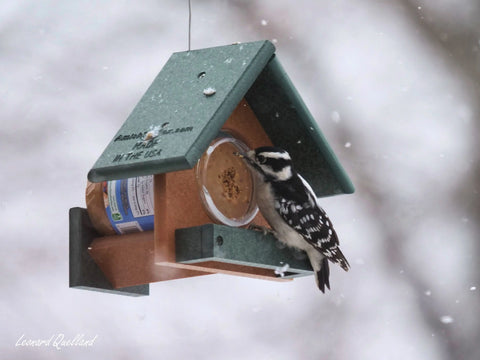 Amish-Made Peanut Butter Bird Feeder 8x7 Inch – Poly Lumber Durable Feeder for Woodpeckers | Made in USA Amish Toy Box  Bird Feeder