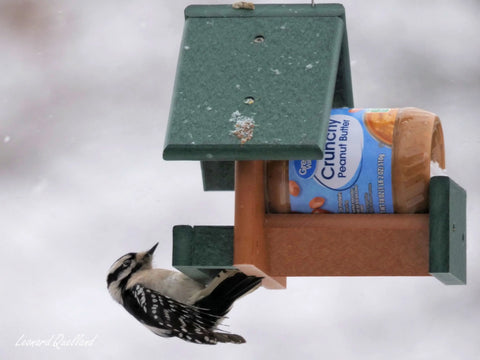 Amish-Made Peanut Butter Bird Feeder 8x7 Inch – Poly Lumber Durable Feeder for Woodpeckers | Made in USA Amish Toy Box  Bird Feeder