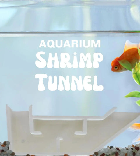 Aquarium Shrimp Hideout Tunnel – Unique Fish Viewing Cave | Made in USA Chatelet Manufacturing 