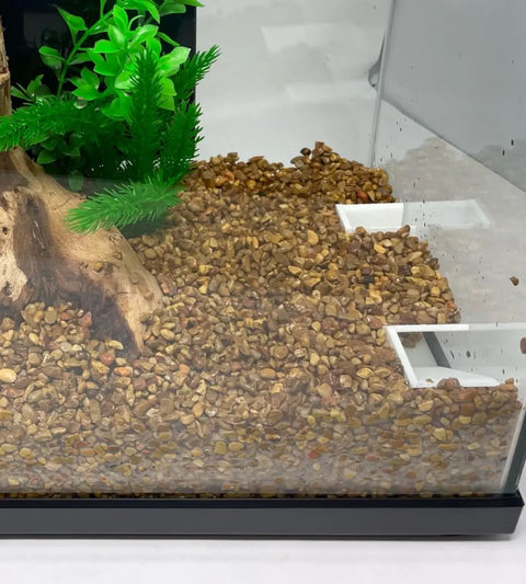 Aquarium Shrimp Hideout Tunnel – Unique Fish Viewing Cave | Made in USA Chatelet Manufacturing 