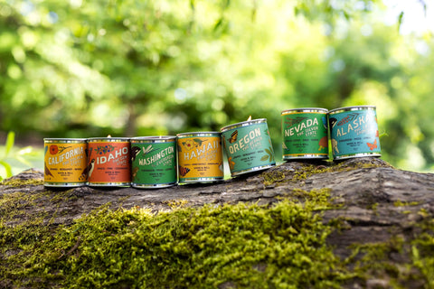Arkansas State Candle Good & Well Supply Co.  Candles