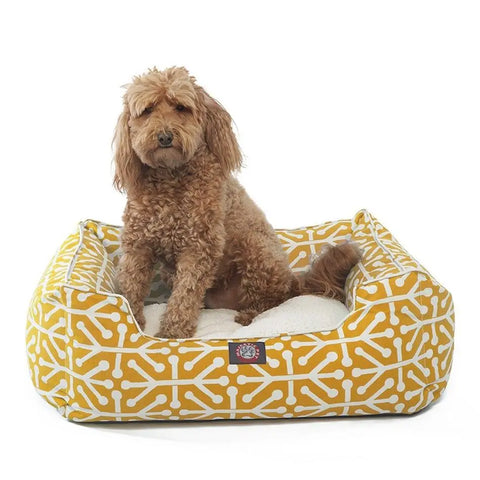 A curly-haired brown dog sits in the Majestic Pet Aruba Contemporary Lounge Bed, featuring a yellow and white pattern and soft cushion, looking toward the camera.