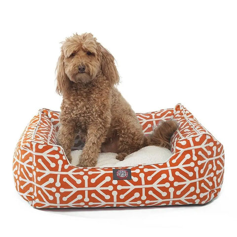 A curly-haired brown dog sits on the Majestic Pet Aruba Contemporary Lounge Bed, featuring an orange and white pattern with a soft white cushion, looking towards the camera.