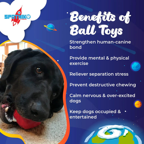 A black dog chews on a red Asteroid Ultra Durable Rubber Chew Toy by SodaPup. Next to the dog, text lists benefits of ball toys for dogs—exercise, stress relief, and less destructive chewing—on a colorful space-themed background.