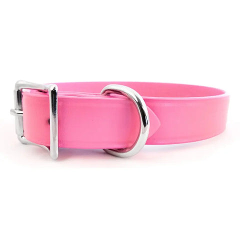 Auburn Leathercrafters Classic Bridle Leather Dog Collar – Pink and Blue Adjustable Standard Collar | Made in USA Auburn Leathercrafters  item