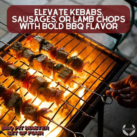 BBQ Pit Master Set – 4 Gourmet Seasonings | Made in USA Gustus Vitae  Collections & Gift Sets