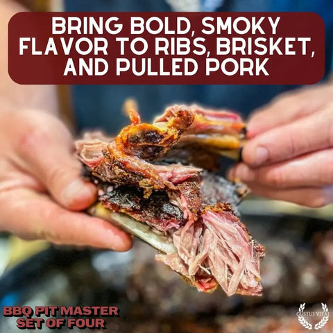 BBQ Pit Master Set – 4 Gourmet Seasonings | Made in USA Gustus Vitae  Collections & Gift Sets