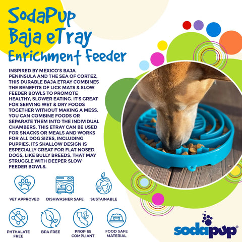 Baja Design Enrichment Slow Feeder Tray for Dogs – Light Blue | Made in USA SodaPup  ETRAY