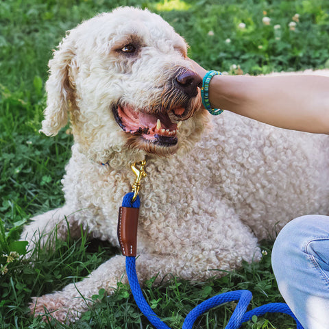 Braided Cotton Rope Dog Leash – Soft Durable Pet Leash with Leather Accents | Made in USA Auburn Leathercrafters  item