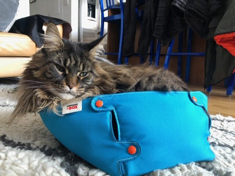 The Penelope Large Whisker Box – Cozy Pet Bed for Cats and Small Dogs | Made in USA Whisker+Box 