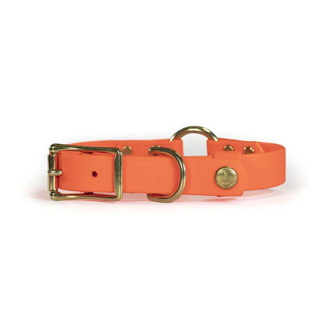Biothane Hunter Dog Collar 1 Inch Wide with Center Ring and Tail Snap – Durable Field Collar | Made in USA Auburn Leathercrafters  item