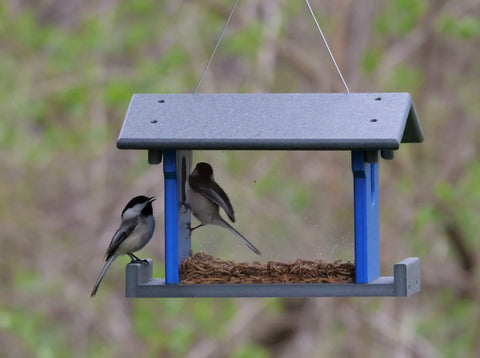 Bluebird Mealworm Feeder – Eco-Friendly Poly Lumber Bird Feeder | Handmade in USA Amish Amish Toy Box  bird feeder