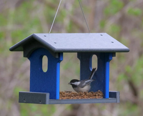 Bluebird Mealworm Feeder – Eco-Friendly Poly Lumber Bird Feeder | Handmade in USA Amish Amish Toy Box  bird feeder