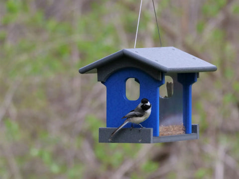 Bluebird Mealworm Feeder – Eco-Friendly Poly Lumber Bird Feeder | Handmade in USA Amish Amish Toy Box  bird feeder