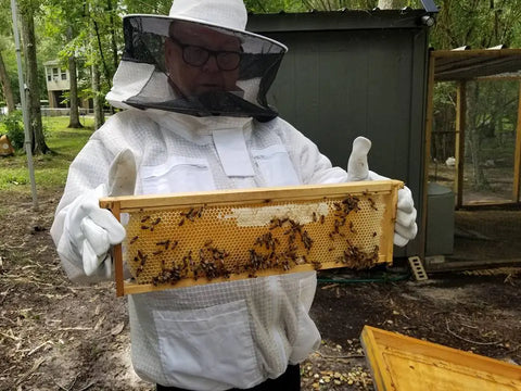 Bread & Butter Pickle Honey Honey Badgers Bee Farm  Honey