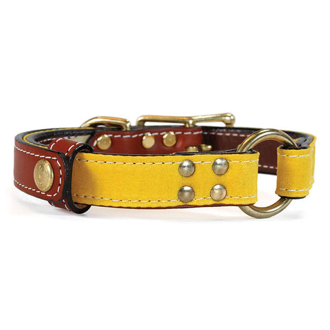 Brentwood Waxed Cotton Dog Collar With Center O-Ring – Durable Leather Field Collar | Made in USA Auburn Leathercrafters  item