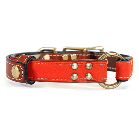 Brentwood Waxed Cotton Dog Collar With Center O-Ring – Durable Leather Field Collar | Made in USA Auburn Leathercrafters  item
