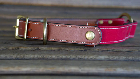 Brentwood Waxed Cotton Dog Collar With Center O-Ring – Durable Leather Field Collar | Made in USA Auburn Leathercrafters  item