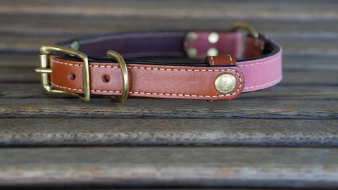 Brentwood Waxed Cotton Dog Collar With Center O-Ring – Durable Leather Field Collar | Made in USA Auburn Leathercrafters  item