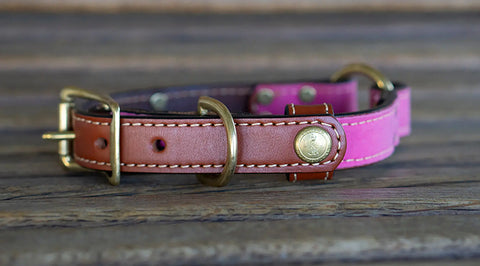 Brentwood Waxed Cotton Dog Collar With Center O-Ring – Durable Leather Field Collar | Made in USA Auburn Leathercrafters  item