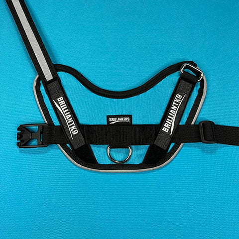 The BrilliantK9 Ergonomic Dog Harness for XLarge dogs (80 lbs and up) by BrilliantK9, shown in black and gray with an adjustable chest strap, sturdy buckle, and a central metal D-ring, stands out against a bright blue background.