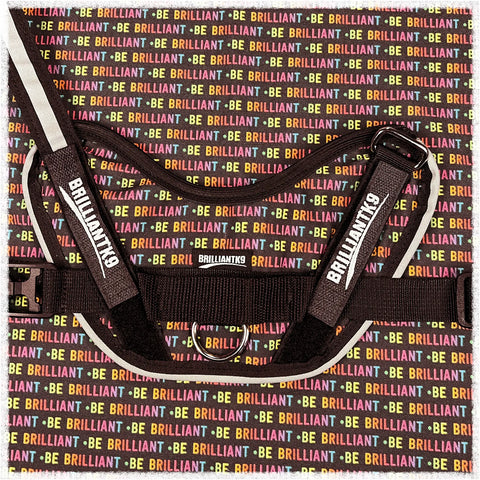 A BrilliantK9 Ergonomic Dog Harness for XLarge dogs (80 lbs and up) lies on a background with BE BRILLIANT in bright yellow, red, and green. Black harness features adjustable chest strap. Brand: BrilliantK9.