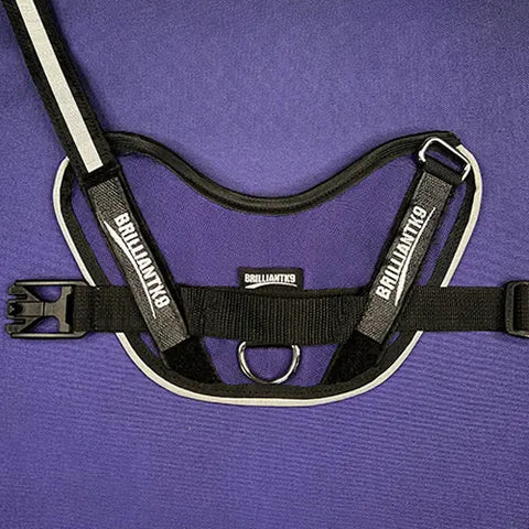 The BrilliantK9 Ergonomic Dog Harness for XLarge dogs (80 lbs and up) by BrilliantK9 is shown in black and white on a purple surface, with reflective trim, adjustable chest strap, plastic buckle, and metal D-ring for leash attachment.