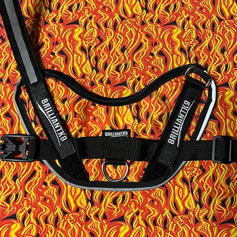 A BrilliantK9 Ergonomic Dog Harness for XLarge dogs (80 lbs and up) in black, featuring an adjustable chest strap, is displayed on fabric with a bold red, orange, and yellow flame pattern.