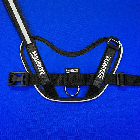 The BrilliantK9 Ergonomic Dog Harness for large dogs (50–80 lbs) is shown in black and white with an adjustable chest strap, buckle, and metal leash ring, displayed against a bright blue background.