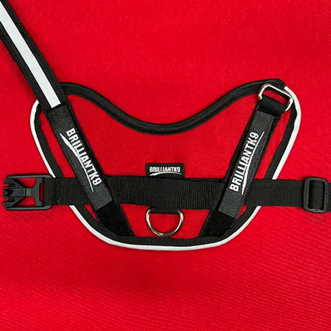A BrilliantK9 Ergonomic Dog Harness for large dogs (50-80 lbs) in black with white trim, adjustable chest strap, and metal D-ring is laid flat on a bright red textured surface.