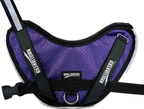 The BrilliantK9 Ergonomic Small Dog Harness (10 to 20 lbs) features breathable summer mesh, an ergonomic design with adjustable straps, a reflective strip, sturdy D-ring for leashes, and a secure black plastic buckle.