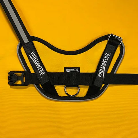 A black and gray BrilliantK9 Ergonomic Dog Harness for medium dogs (20–45 lbs) is displayed flat on a bright yellow background, featuring its straps, plastic buckle, and metal leash ring.