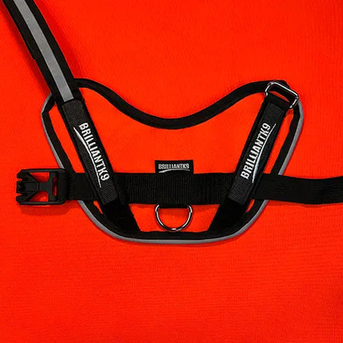 A close-up of a BrilliantK9 Ergonomic Dog Harness for medium dogs (20-45 lbs), featuring bright orange color, black straps with reflective trim, a buckle, metal ring, and BrilliantK9 labels on the straps.