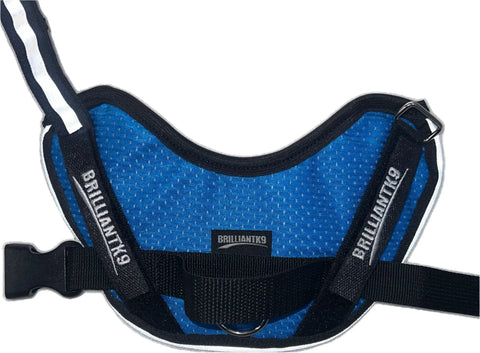BrilliantK9 Small Dog Harness 10lbs Lightweight Mesh Design – Ergonomic Fit | Made in USA BrilliantK9  Dog Harness