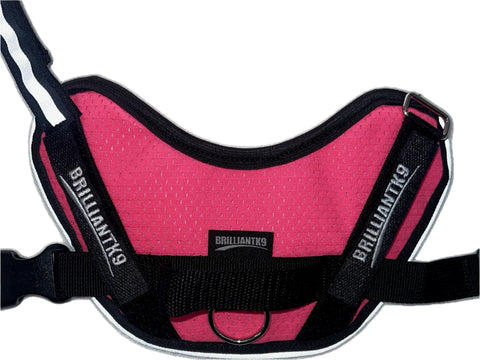 BrilliantK9 Small Dog Harness 10lbs Lightweight Mesh Design – Ergonomic Fit | Made in USA BrilliantK9  Dog Harness