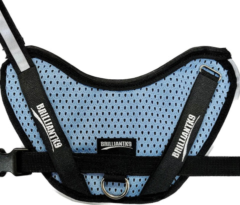 The BrilliantK9 Ergonomic Little Dog Harness 10lbs & Under - Summer Mesh features blue and black dual-layer jersey mesh, BRILLIANTK9 branding on straps, and a center metal leash ring—ideal for keeping small dogs cool in summer.