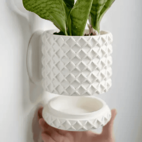 Bubble Lattice Wall Planter – 4 Inch Diameter Modern Pot | Made in USA Chatelet Manufacturing 