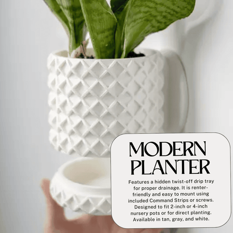 Bubble Lattice Wall Planter – 4 Inch Diameter Modern Pot | Made in USA Chatelet Manufacturing 