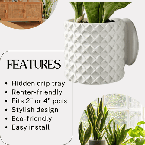 Bubble Lattice Wall Planter – 4 Inch Diameter Modern Pot | Made in USA Chatelet Manufacturing 