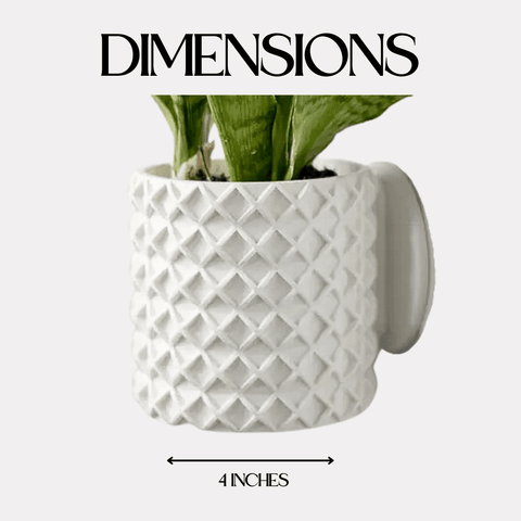 Bubble Lattice Wall Planter – 4 Inch Diameter Modern Pot | Made in USA Chatelet Manufacturing 