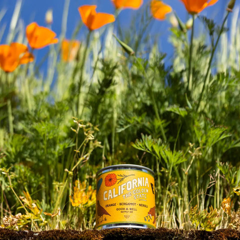 California State Candle Good & Well Supply Co.  Candles